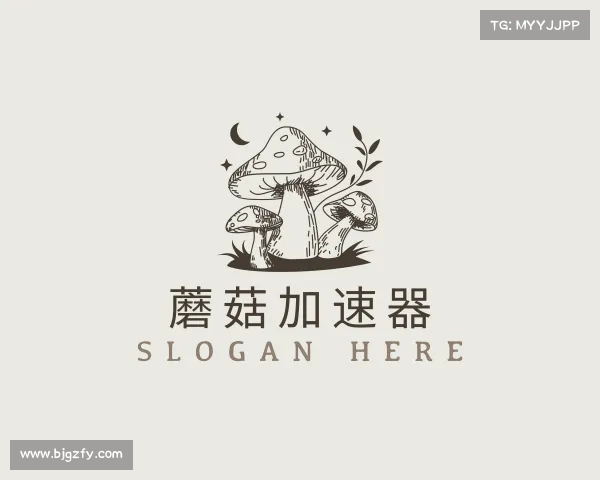 解读蘑菇加速器